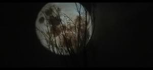 Loft Spa La Maison du Bambou