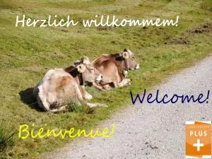 Appartement Bergfrieden - لينغيناو