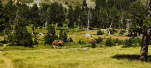Appartements Mountain Village Studio en Nohedes pour 2 : photos des chambres