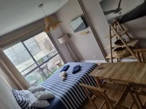 Ma cabane de plage studio avec balcon et parking - Fécamp