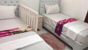 8 Santiago Monumental Area Cozy and lovely to enjoy 3 bedrooms Apart transportation 24 hours