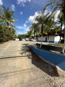 Wide Mouth Frog Conchal - Brasilito