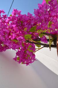 The Priests Traditional House Kalithies