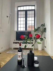 Penthouse na loftach Tymienieckiego w centrum Łodzi - 贝乌哈图夫