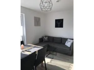 Holiday apartment forest - 苏尔茨堡