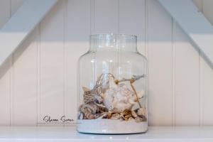 Carpe Diem Egmond aan Zee by Urban Home Stay