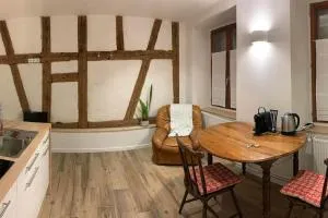 Studio les Hirondelles - 2 personnes à Ribeauvillé - 坦嫩基什