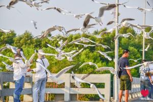 สถานตากอากาศบางปู สมุทปราการ Bang Pu Recreation Center Samut Prakan