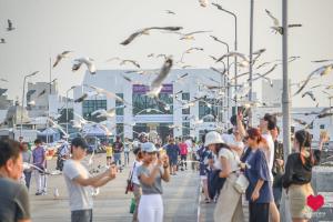 สถานตากอากาศบางปู สมุทปราการ Bang Pu Recreation Center Samut Prakan