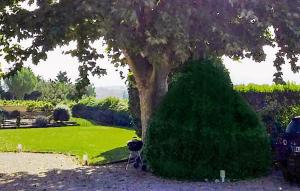 Maisons de vacances Le Mas De La Vigne : photos des chambres