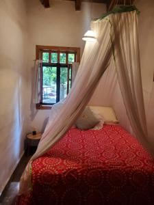 Glamping Teques Naturaleza de lujo Granja El Sol