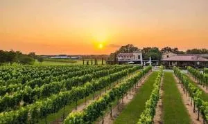 Entertainers Paradise 16m to wine trail 2 kings - Flugrath