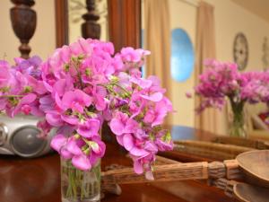 3 Bed in Dolgellau 75737