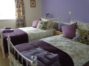 Deluxe Twin Room room in Lodge House B&B