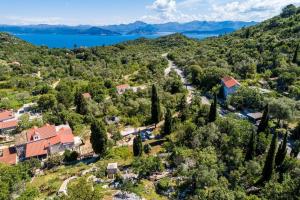 Apartments with a parking space Korita, Mljet - 22342 