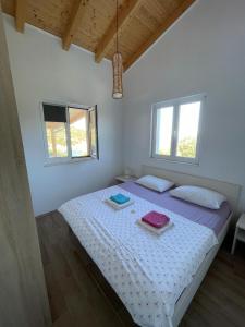 Seaside holiday house Cove Mala Svitnja, Vis - 22345