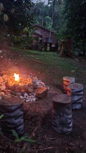 Ecoscape Jamaica - Cottages by the river