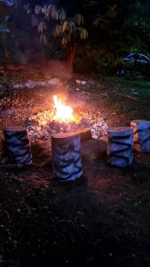 Ecoscape Jamaica - Cottages by the river