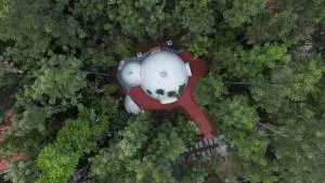 One piece stay - Avathi