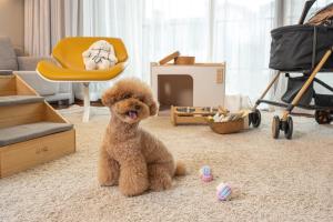 Somerset Jeju Shinhwa World