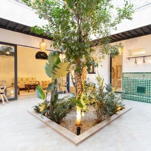 Riad Wadiya, privatif, piscine en rooftop.