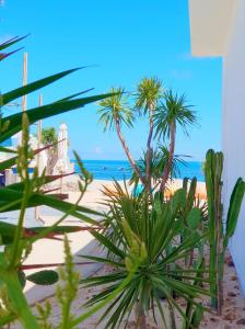 Sea Mê Homestay - by Bay Luxury