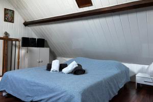 Appartements AP 40 - 
