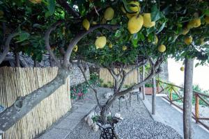 Spring Boutique Villa Amalfi