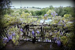 Gîte le chant des tournesols piscine chauffée
