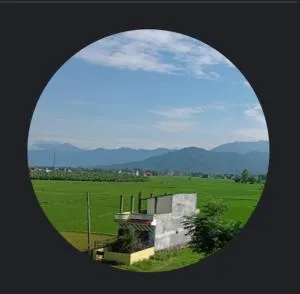 Elephant Kite - Narayanghat