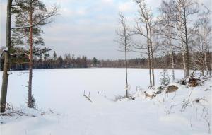 Awesome Home In Holmsjö With Wifi