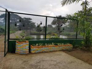 Golden V Farms Hacienda