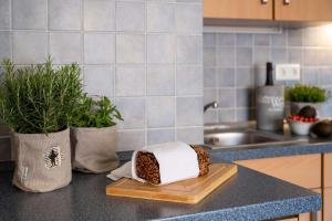 Antares Spiekerooger Gästehaus-Sonnengartenbalkon West - Wohnung 6