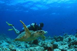 Amilla Maldives