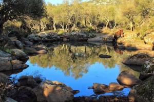 Casa Arianna (Borgo Rocce Rosse Arbatax) img10