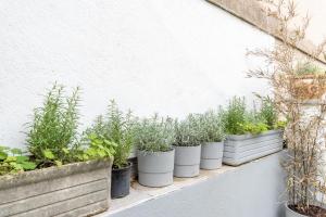 Complexe Blancarde - 6 studios - 20 pers - Clim Parking