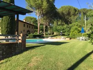 Talli Francesco - Casanova 1 - Nebbiano