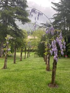 Villas 8 Bedroom Villa with Pool and River, Incredible View : photos des chambres