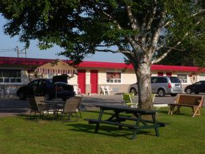 The Silver Birch Motel
