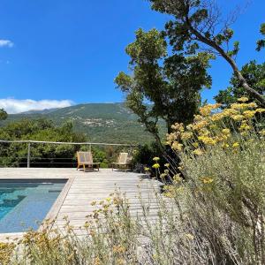 B&B / Chambres d'hotes Les Petites Maisons : photos des chambres