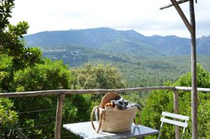B&B / Chambres d'hotes Les Petites Maisons : photos des chambres