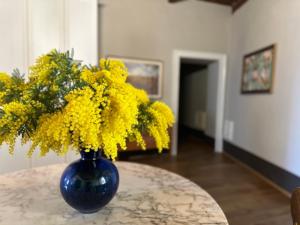 Domus An- Two Bedrooms Apartment -Antique and Historical Home