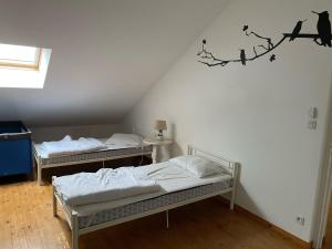 Maisons de vacances VILLA LES ILOUS : photos des chambres