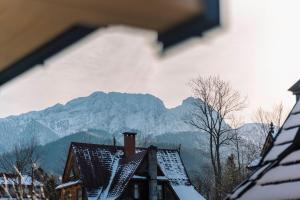 Nowy apartament Modrzew w centrum