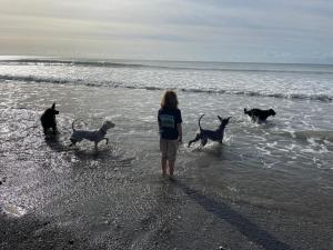 Prosecco - Lydcott Glamping Cornwall, sea views