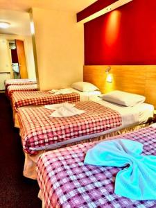 Large Family Room with private toilet and shower room in Carlton Hotel B&B