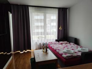 Apartament Zamkowy