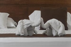 Hotel Caquetá Real HSC