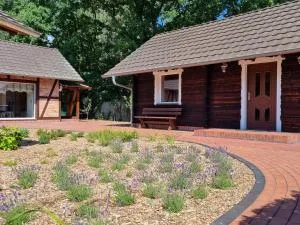 luxuriöses Ferienhaus an der Spree - 施莱普齐希
