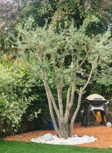 Maison en Provence avec jacuzzi